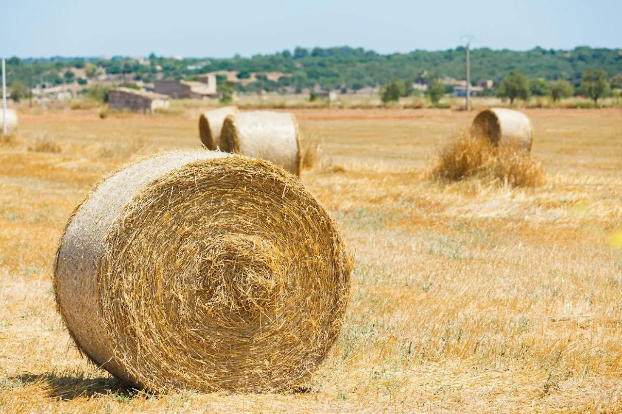 Сasa de vacaciones Finca Sa Rota de Son Ramon 132 by Mallorca Charme Villa Llubí