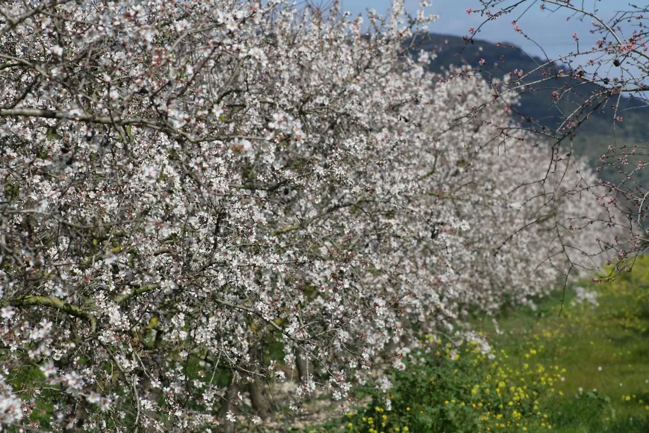 Сasa de vacaciones Finca Sa Rota de Son Ramon 132 by Mallorca Charme Villa Llubí
